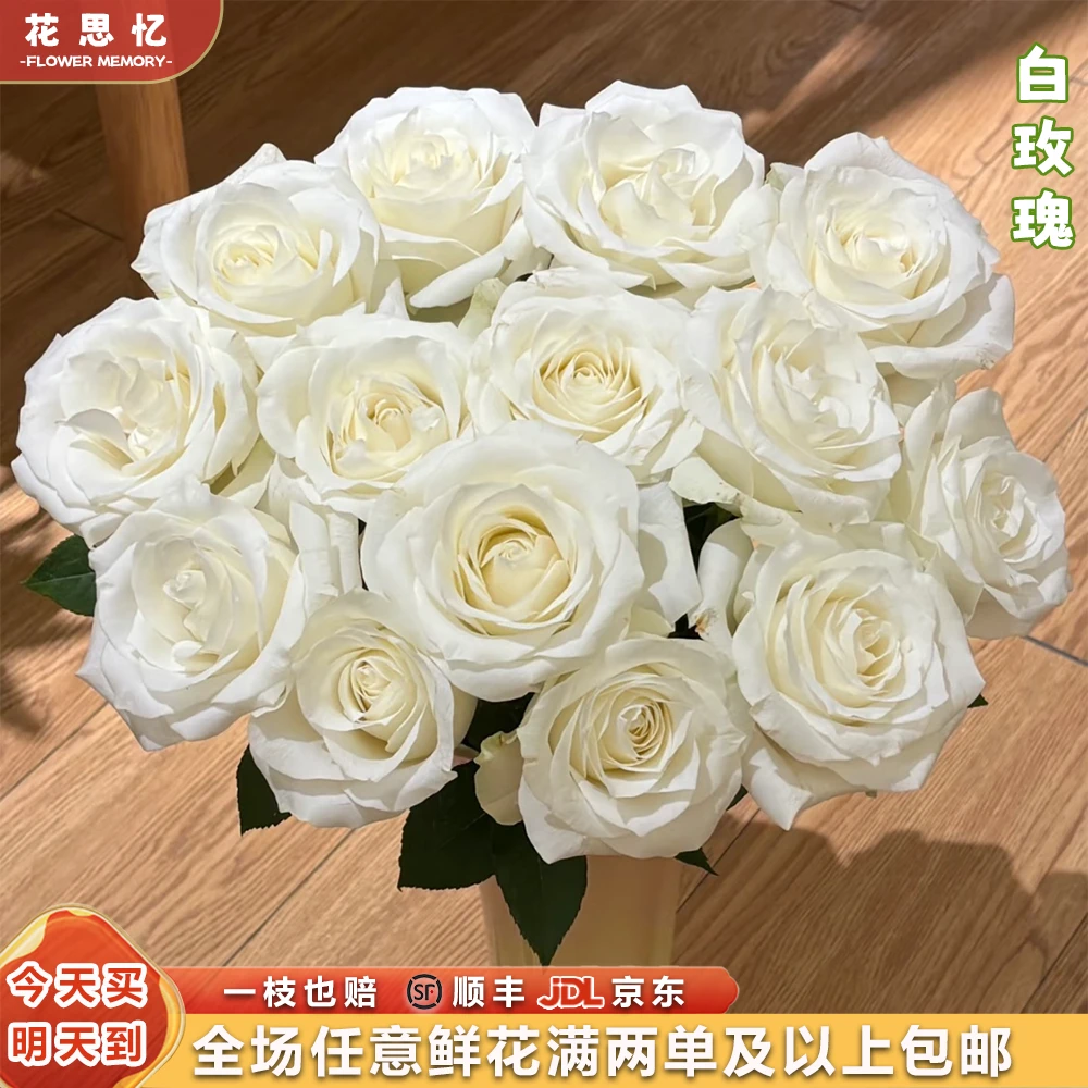 『白玫瑰10枝』家用云南鲜切花 满两单鲜花顺丰京东包邮 满三单鲜花送花瓶 直播次日达包邮