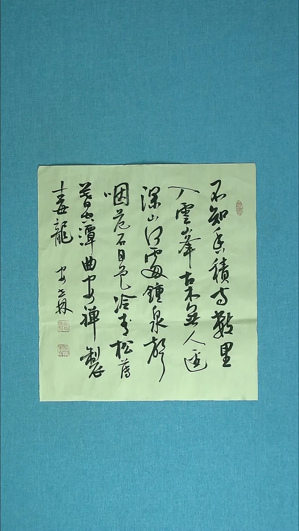 【闪购商品】书法240 甘肃安世林中书协49*45