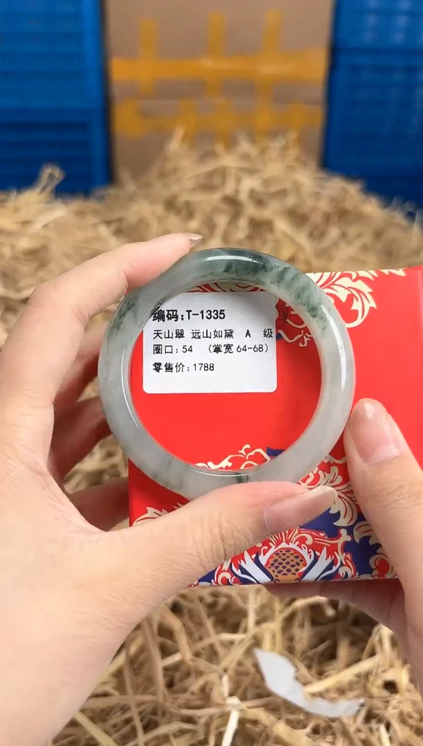 未镶嵌手镯石英质玉T-1335