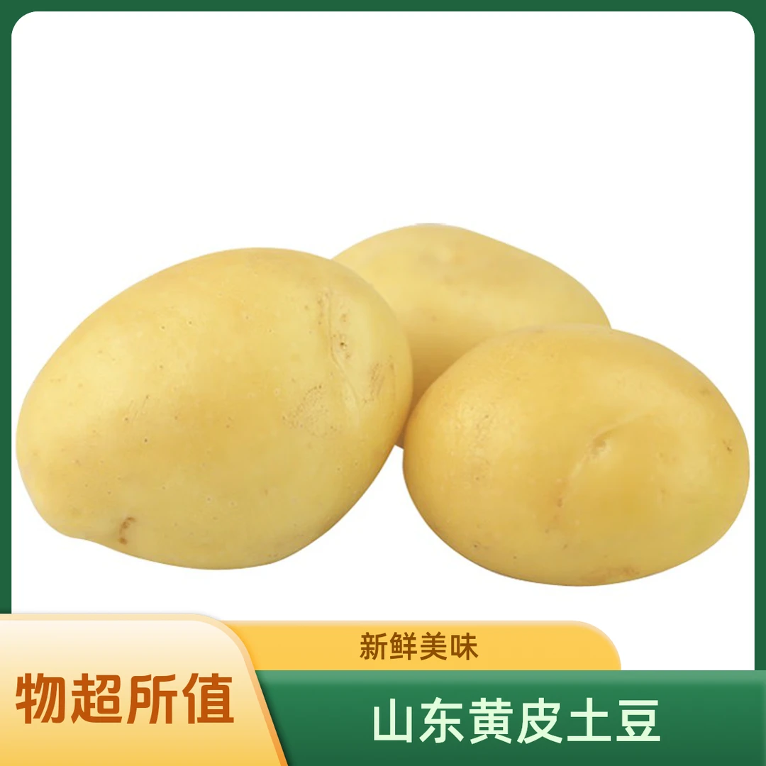 菜鸟 山东黄皮土豆马铃薯 迷你小土豆 源头直发包邮 美味现挖3斤