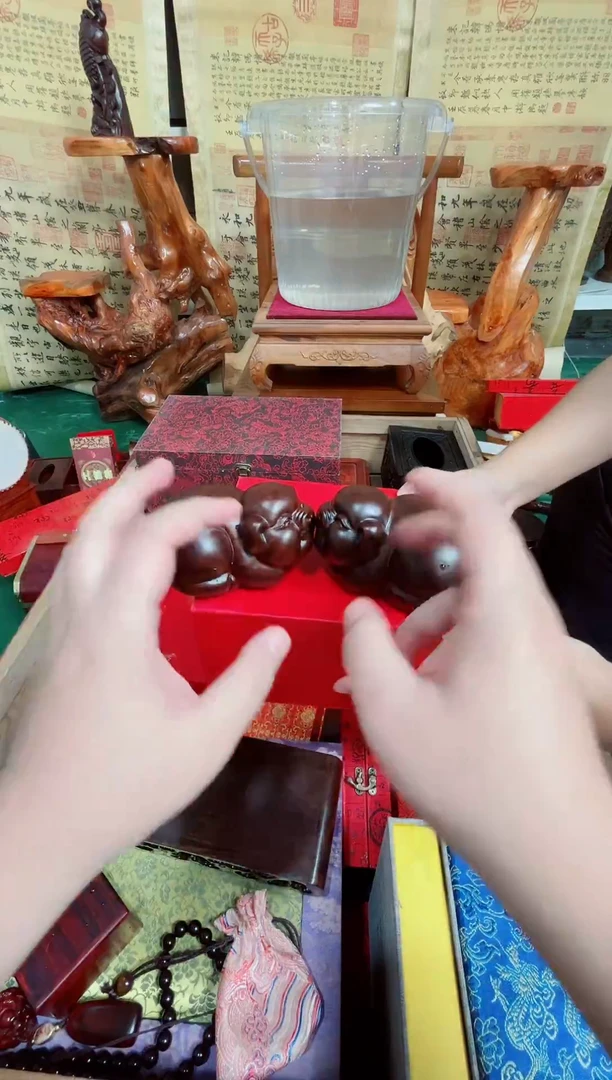 木对猪直播推荐直播推荐