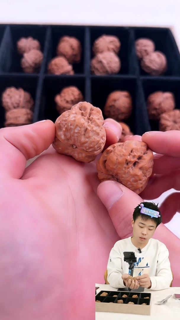 把件文玩核桃205蛤蟆头文玩核桃