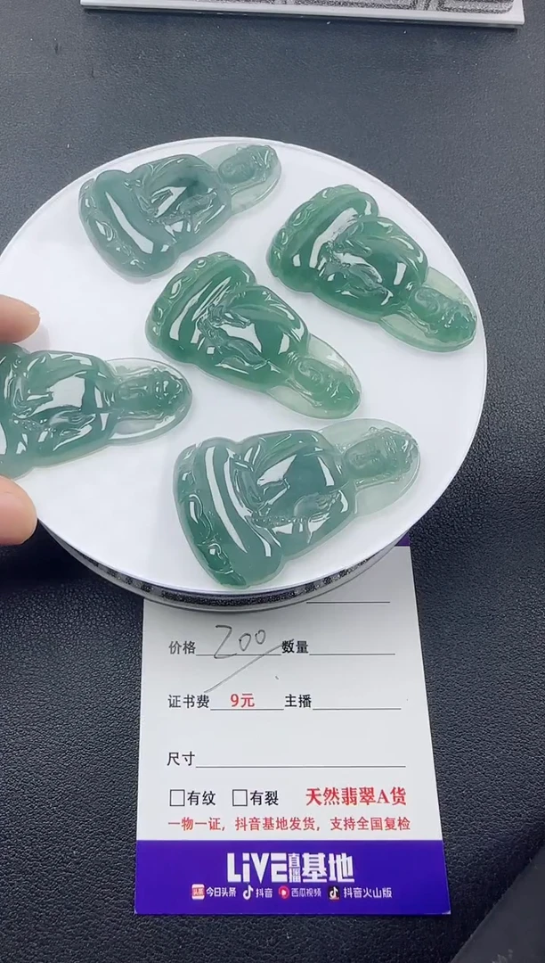 【闪购商品】翡翠颈饰未镶嵌翡翠素衣观音（多样性发其一）