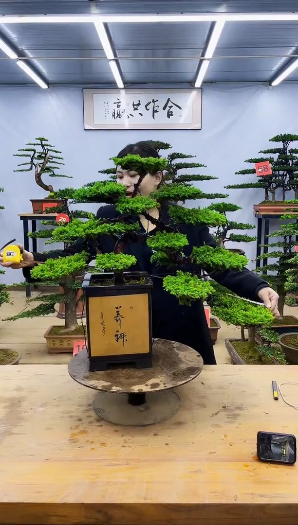 无花朵一物一拍，所见即所得
