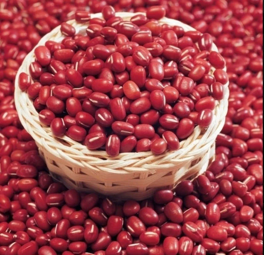 云南小培优选山货 赤小豆 香甜软糯 美味豆沙 佳节必备 送礼佳品