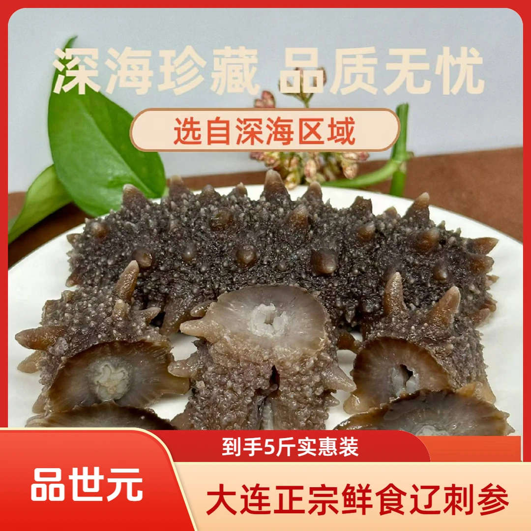 大连正宗即食辽刺参拍三斤发海参斤（到手海参六斤）