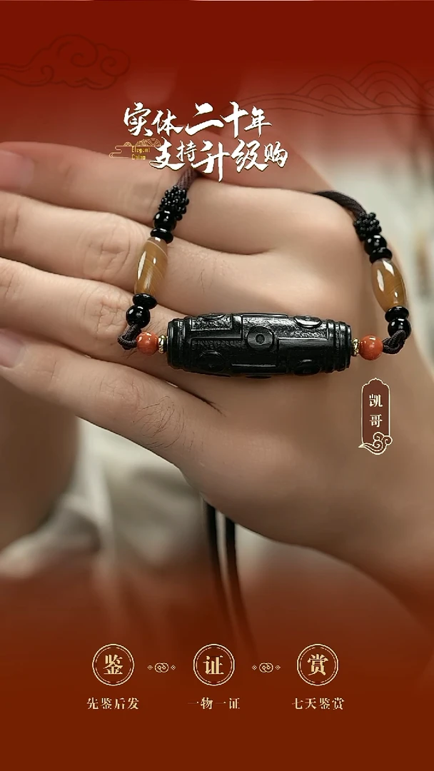 吊坠(赠链)未镶嵌和田玉黑青天珠挂件