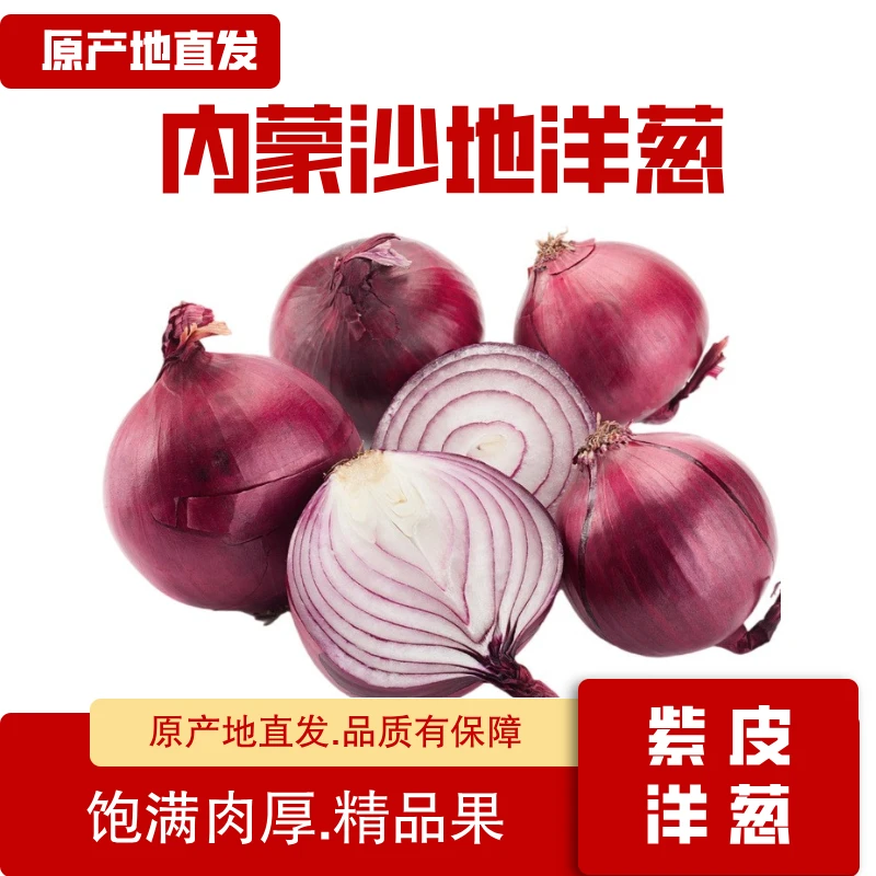 新鲜紫皮洋葱可炒菜凉拌的时令蔬菜美味可口