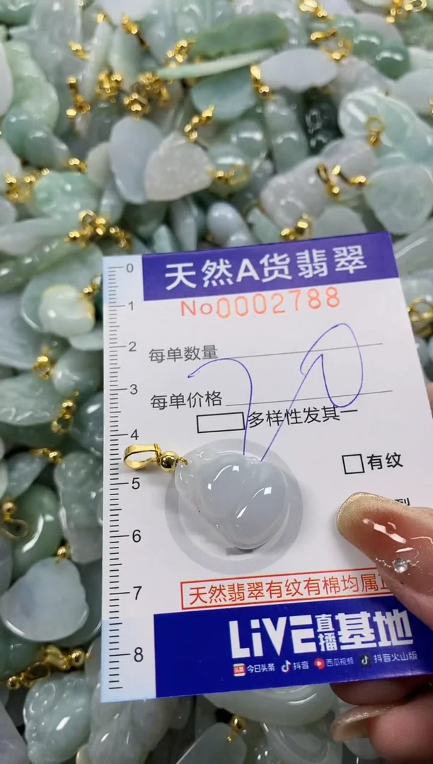 颈饰未镶嵌翡翠天然A货翡翠
