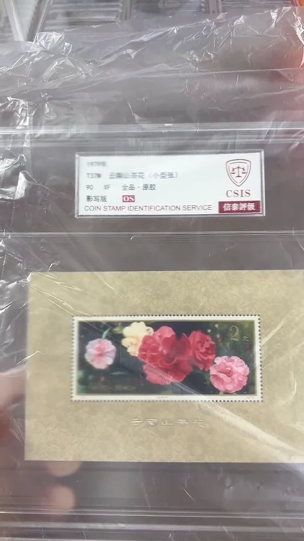 山茶花 小型张 大盒 90OS