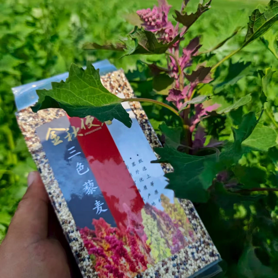 金秋使者2025新三色藜麦米1000g颗粒【粥饭轻食营养代餐】二斤装