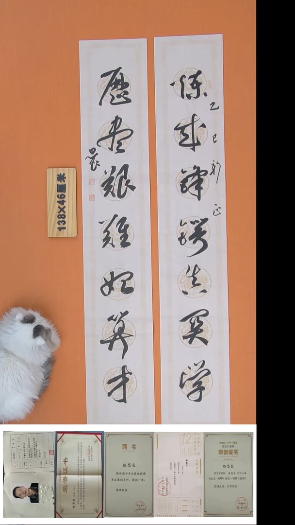 书法路思良老师精美作品138*46