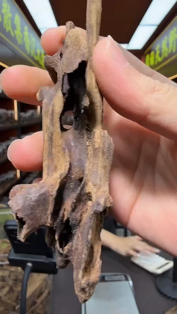 沉香吊坠31号海南鸡母虫多样性发一