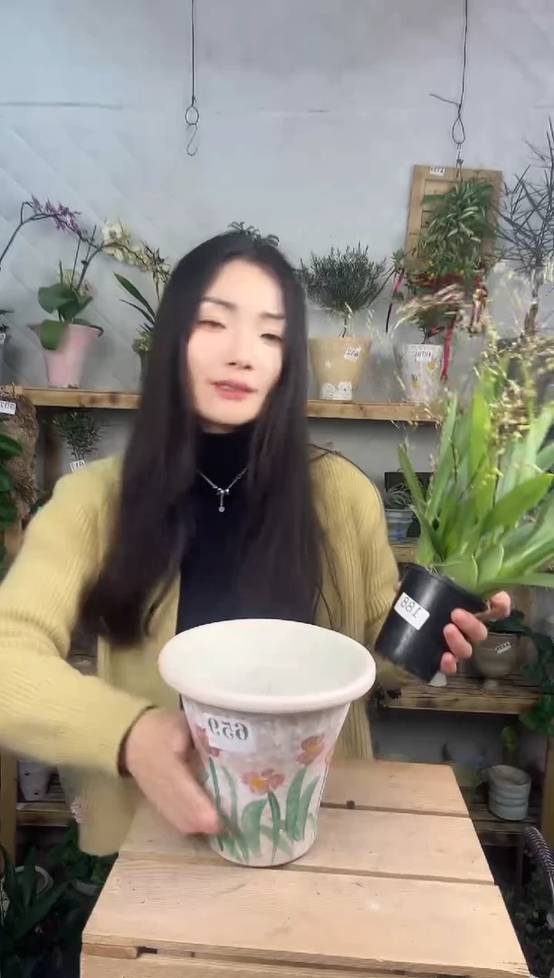 无花朵659编号  景德镇手工花盆