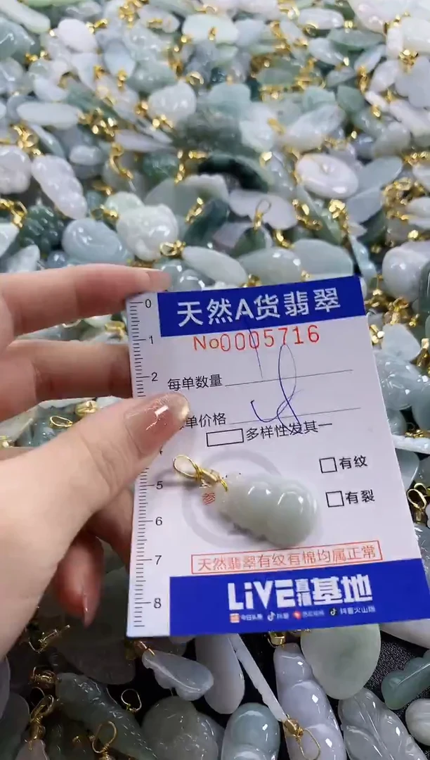 颈饰未镶嵌翡翠天然A货翡翠
