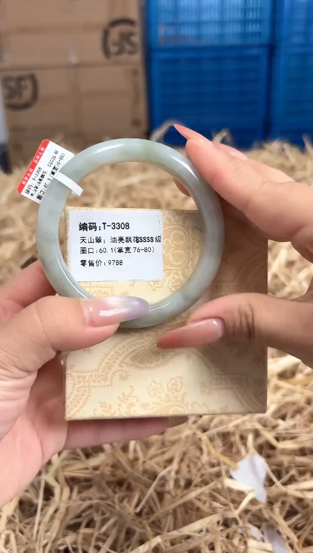 未镶嵌手镯石英质玉T-3308