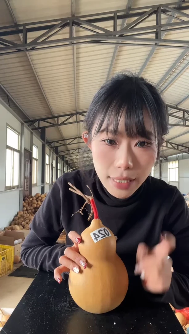 024天然葫芦摆件 一物一拍龙头不保售后