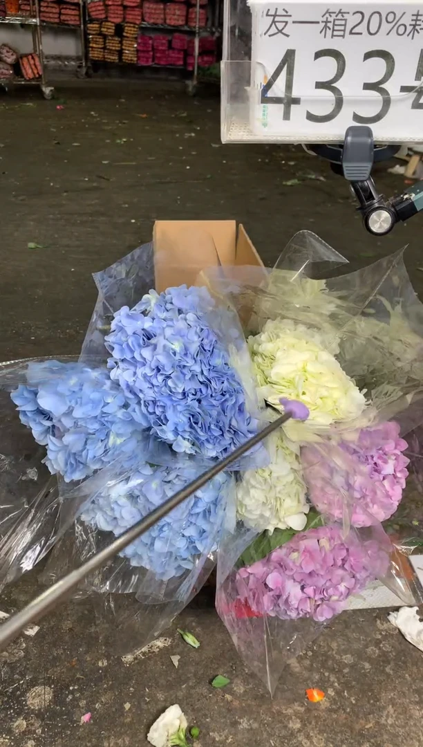 433/8号不指定♥含20%耗损发一箱