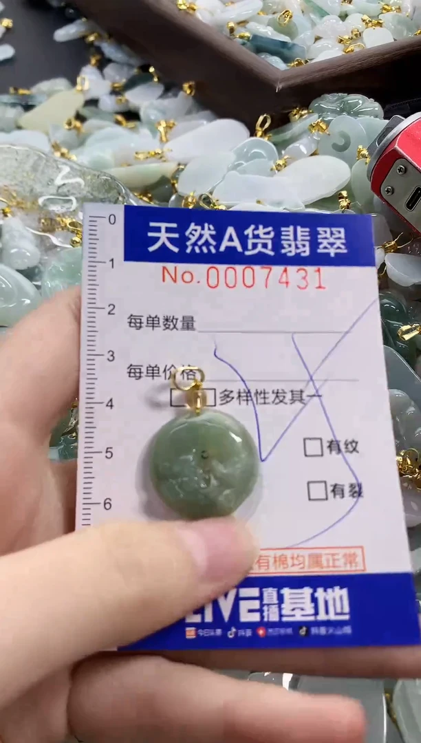 颈饰未镶嵌翡翠天然A货翡翠