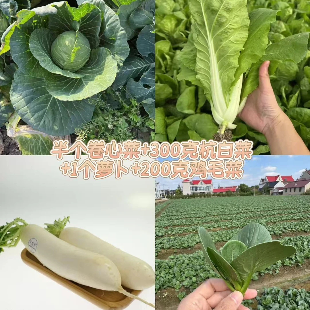 崇明本地新鲜蔬菜组合