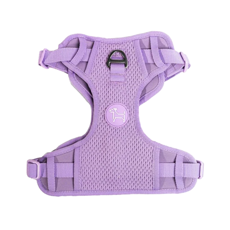 【阿波贝】粉丝专属 专人专拍 RIFRUF宠物胸背