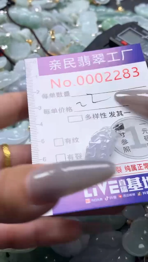 颈饰未镶嵌翡翠2283