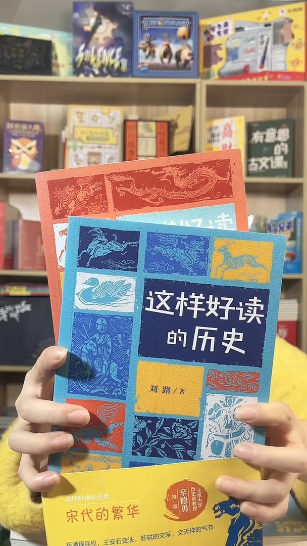 这样好读的历史宋代2本