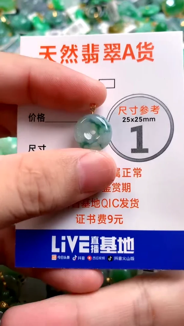 颈饰18K金镶嵌翡翠13006341