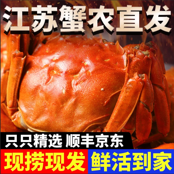 【买6送4到手10只】精选活蟹顺丰包邮洪泽湖河蟹1.7-2.0两蟹农直发鲜活螃蟹现捞现发精品公蟹海鲜