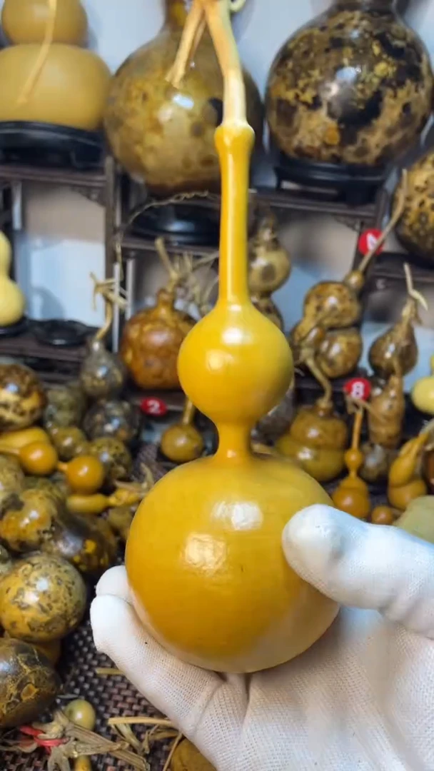 【闪购商品】葫芦葫芦葫芦葫芦