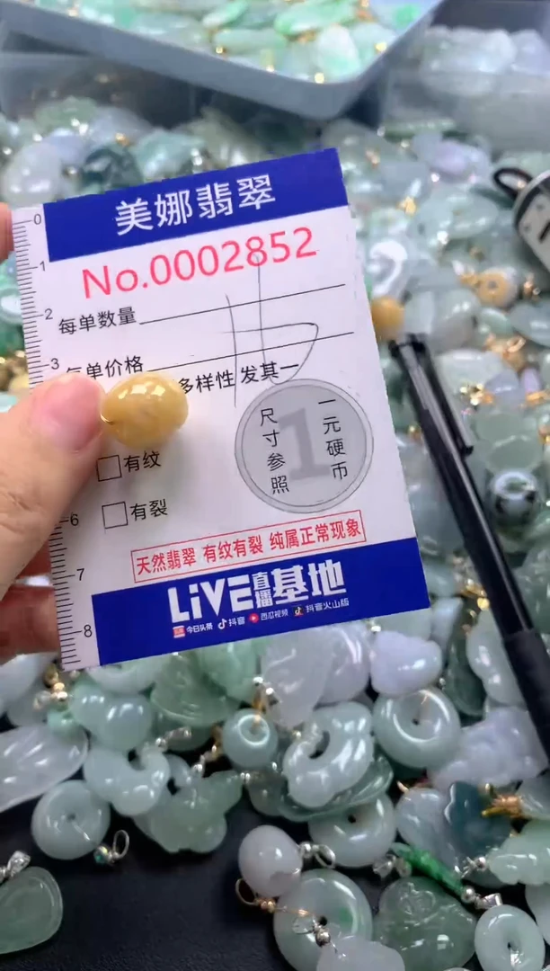 颈饰未镶嵌翡翠2852