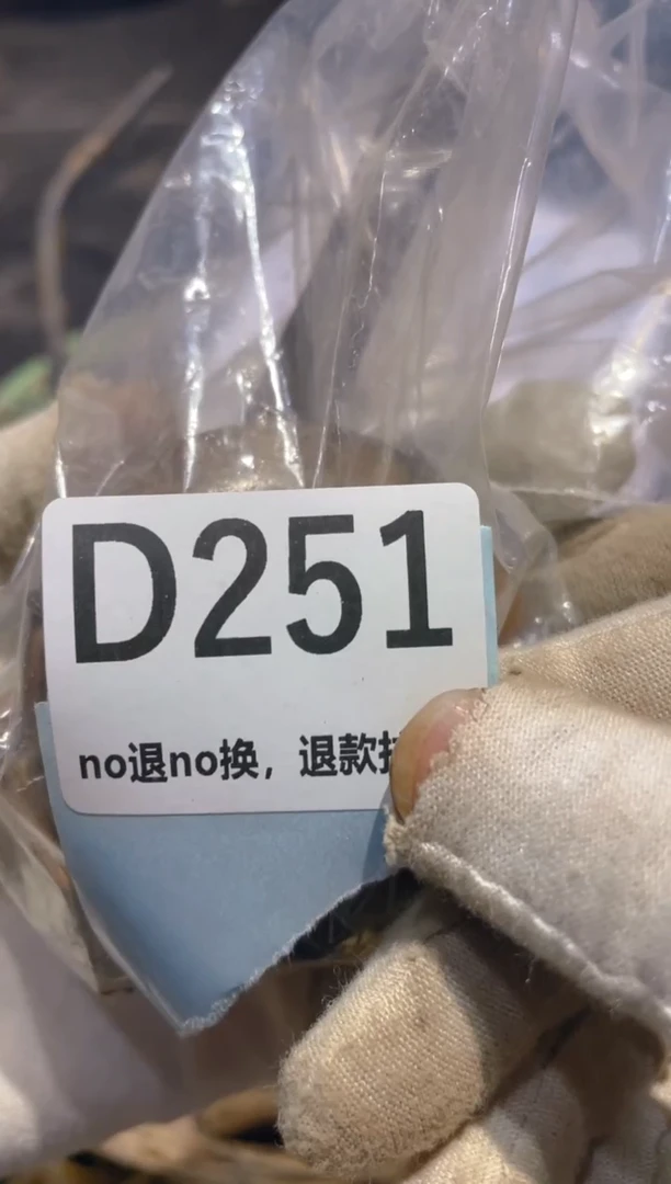 瓷片是**吖表妹火爆热卖热卖！