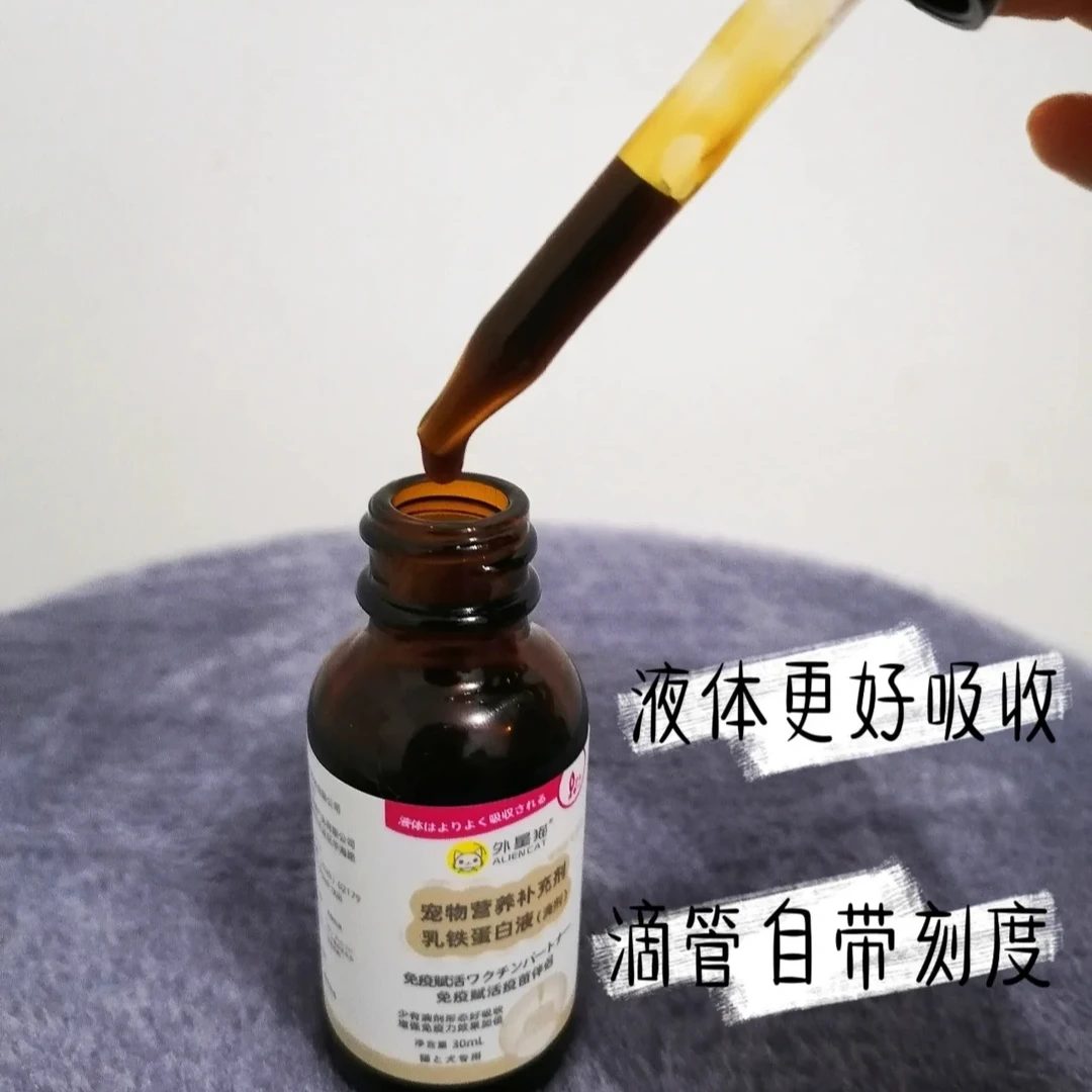 乳铁蛋白宠物狗狗营养品