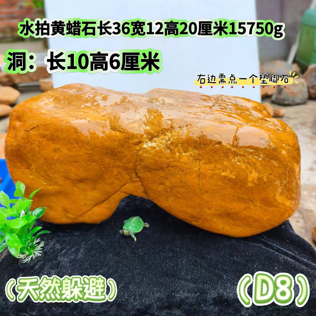 灵8大尺寸天然躲避黄蜡石平板小鱼缸造景黄喉缘小青发色乌龟晒台
