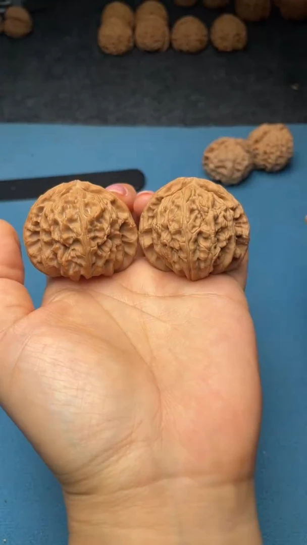 桃核把件w149  白狮子 43尺