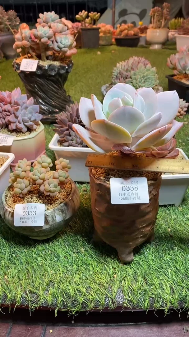 0338《满28包邮发货》