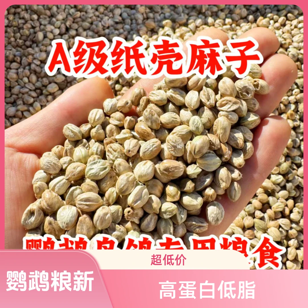 纸壳麻子鹦鹉粮大颗粒小太阳和尚奖励零食牡丹玄凤鸟粮新货