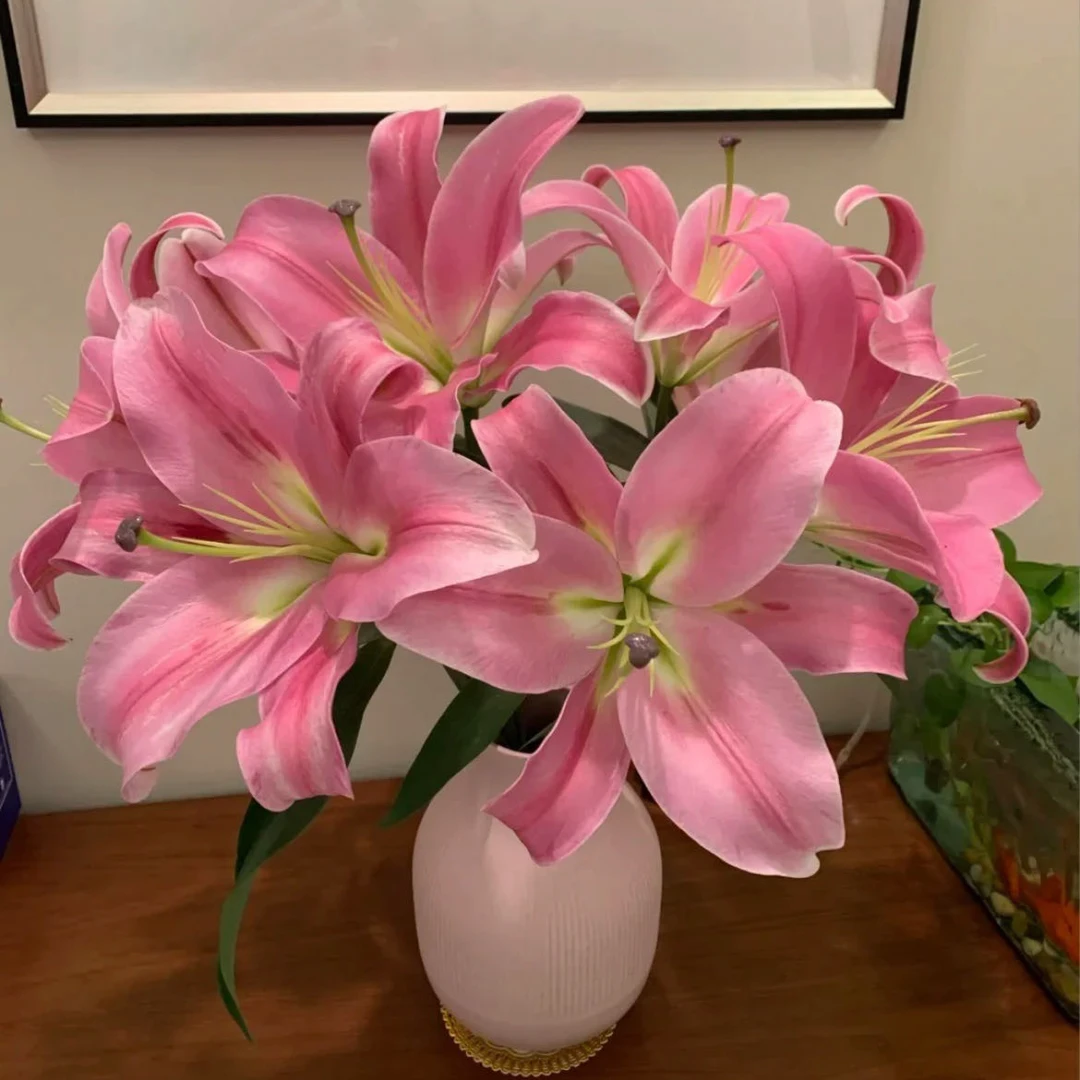 【小阿阮】#普拉分多#粉色超夏天的香水百合长家居鲜花 顺丰直发