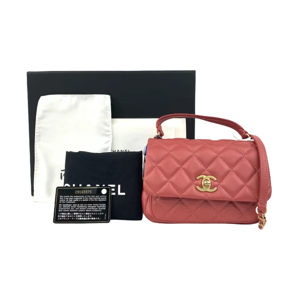 95新/香奈儿/妃鱼/单肩包/市场价24000/250130LT0020