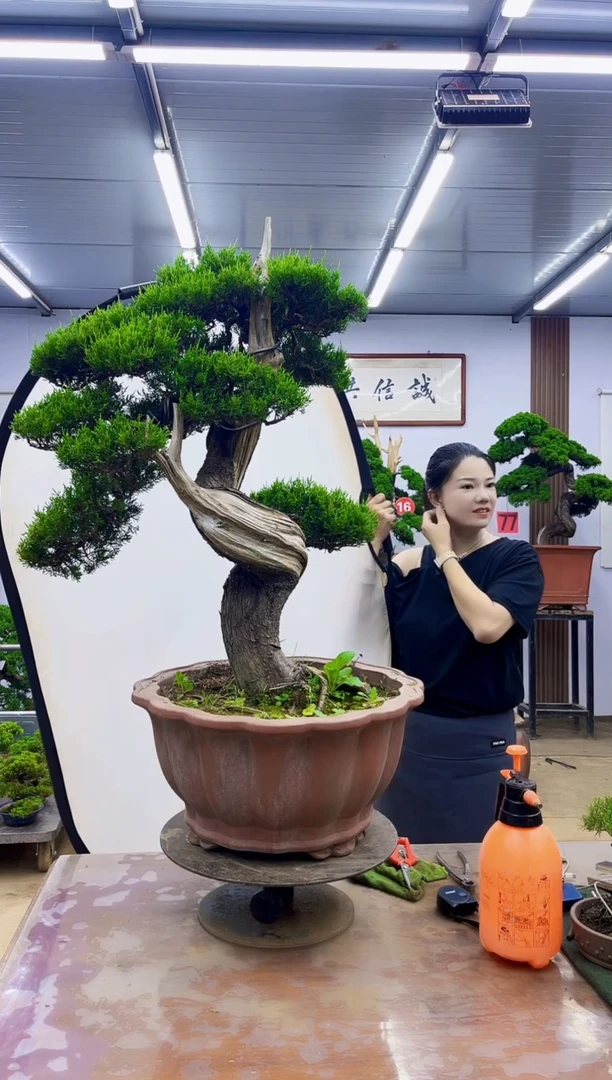 无花朵浙****技000000000000000