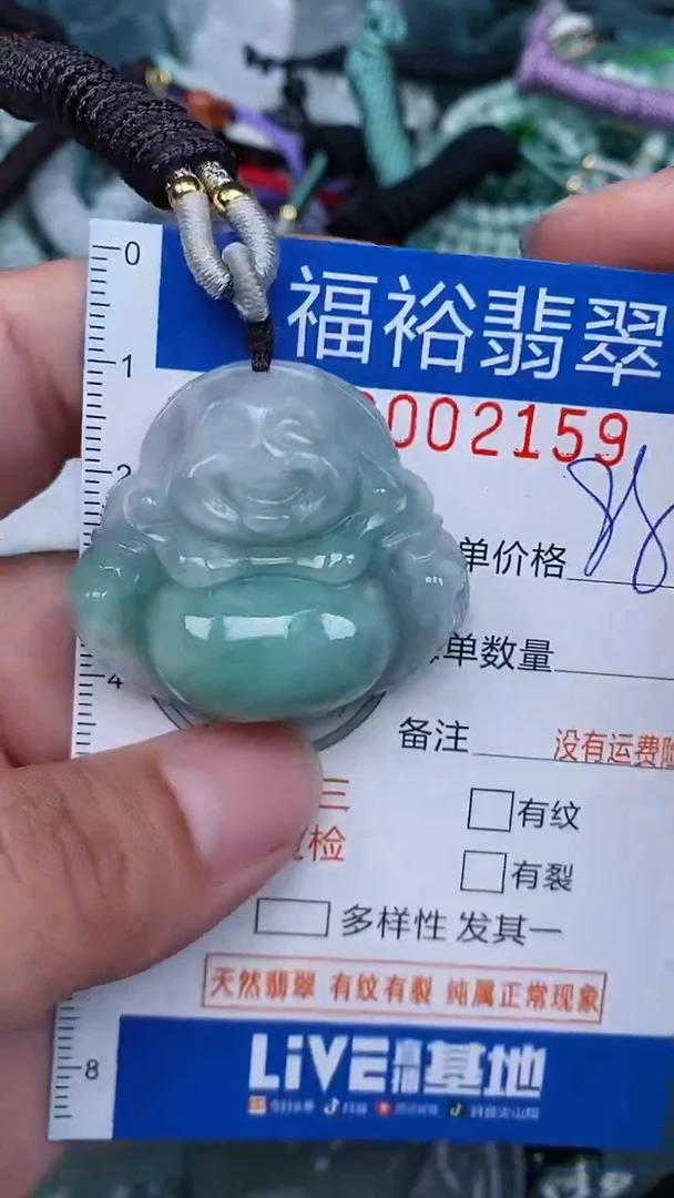 翡翠未镶嵌颈饰...0002159