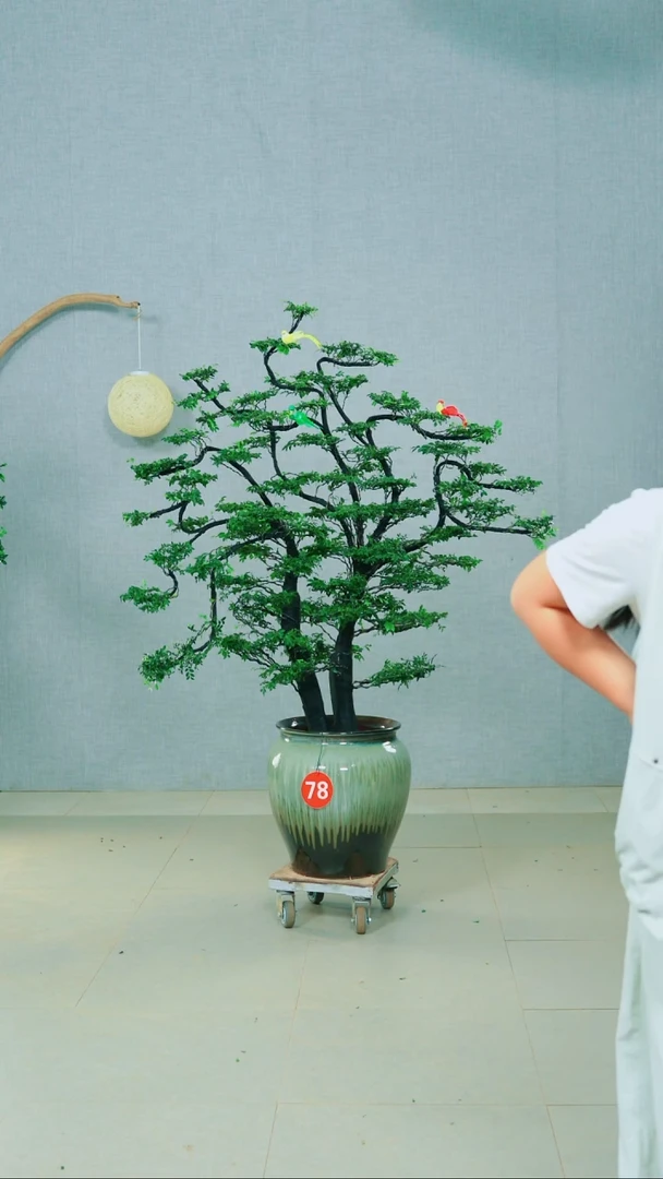 无花朵㤀*你广东小叶紫檀