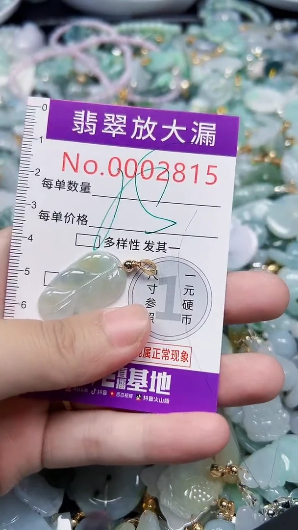 颈饰未镶嵌翡翠2815