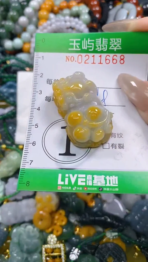 颈饰未镶嵌翡翠闪购0211668