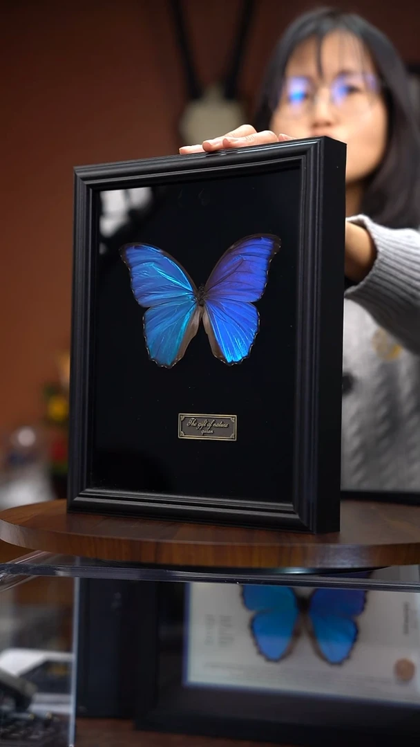 大蓝闪 常规款 10寸欧式框