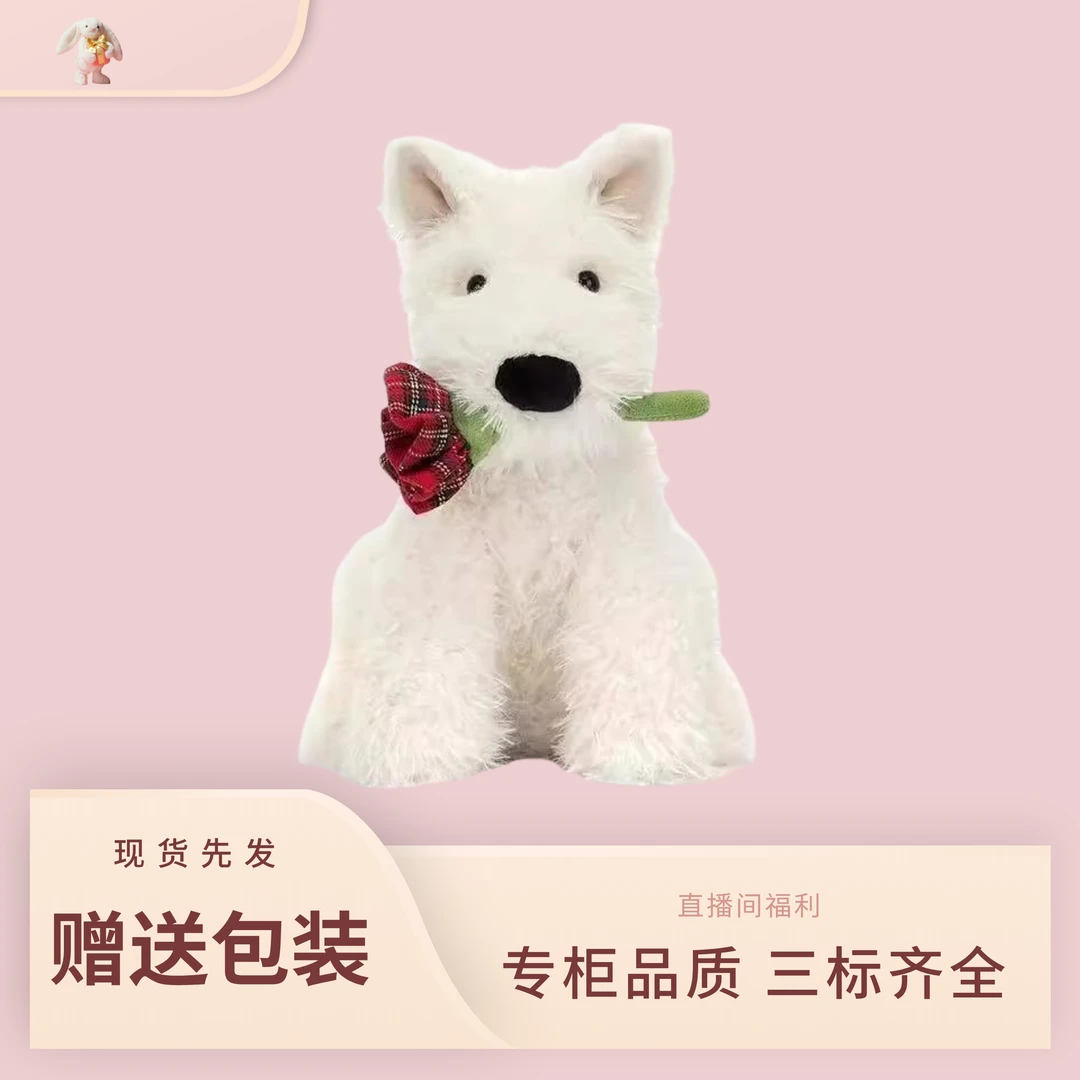 Jellyzp CAT告白玫瑰花西高地毛绒玩偶公仔安抚玩具情人节礼物