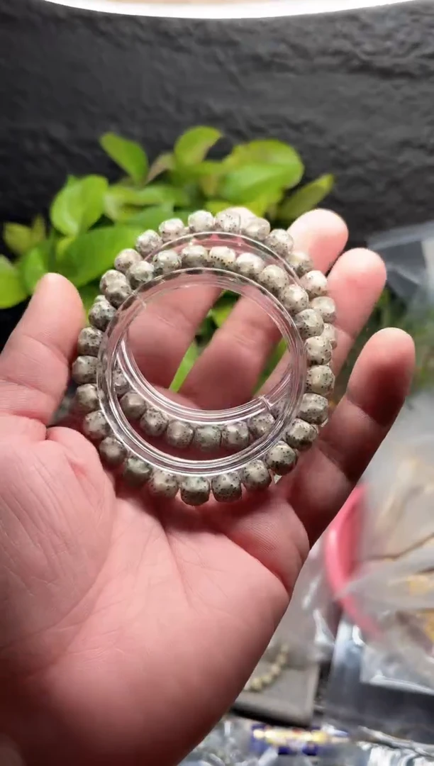 星月菩提手串海南星月菩提《C068》9X8无相单圈