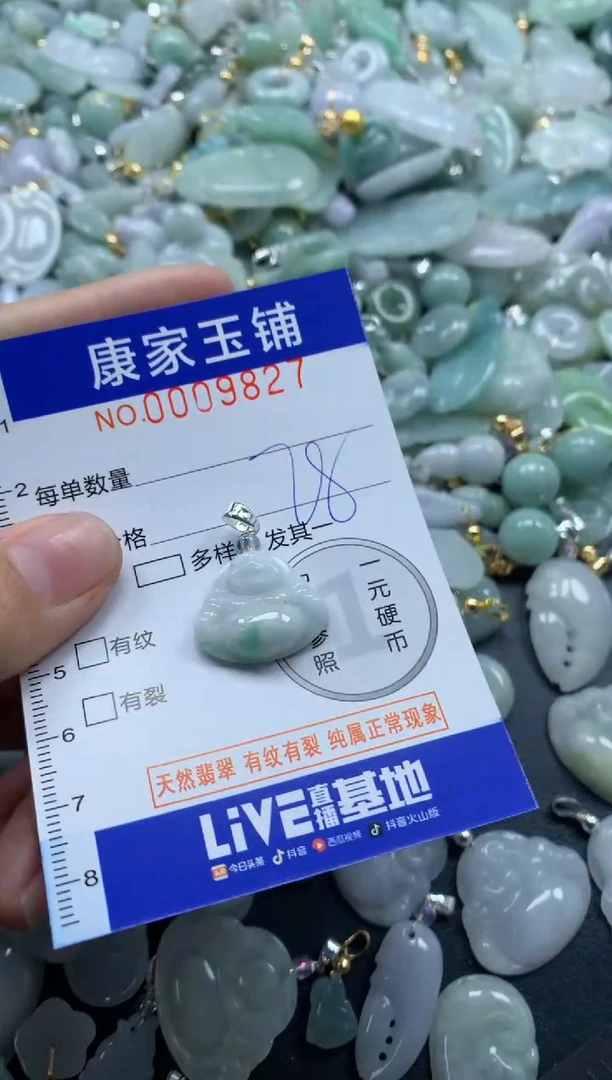 颈饰未镶嵌翡翠9827