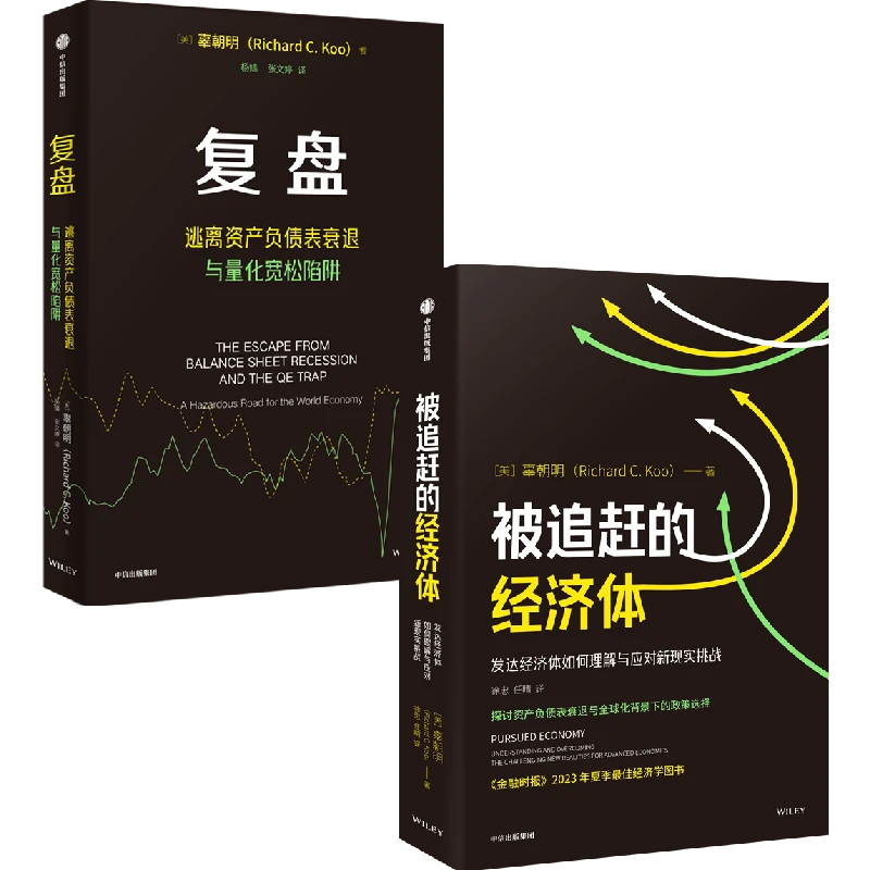 被追赶的经济体+复盘 辜朝明著 资产负债表 中信出版
