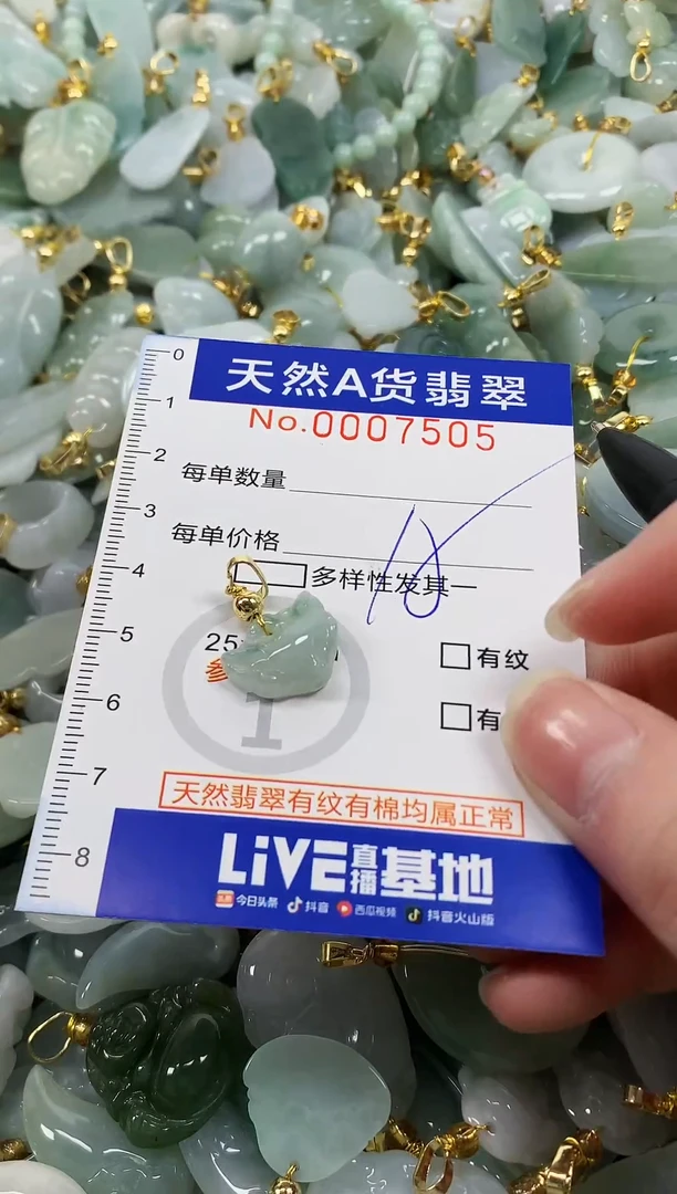 颈饰未镶嵌翡翠纯天然a货翡翠